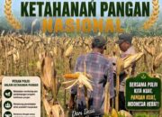 Dukung Ketahanan Pangan Nasional, Polsek Bancar Turun Ke Lahan Jagung Warga Desa Ngujuran