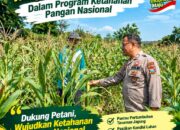 Polsek Bancar Monitoring Lahan Jagung Warga Desa Tenggerkulon, Dukung Program Ketahanan Pangan Nasional
