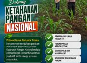 BHABINKAMTIBMAS PANTAU PERTUMBUHAN TANAMAN JAGUNG WARGA DI DESA BINAAN