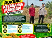 Dukung Astacita, Polsek Palang Polresta Tuban Pantau Langsung Lahan Jagung milik warga Desa Ngimbang