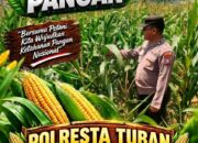 Kawal Swasembada Pangan, Polsek Jatirogo Pantau Langsung Tanaman Jagung di Desa Demit
