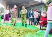 Teknologi Silase Buka Peluang Baru bagi Peternak Eyat Mayang