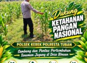 SAMBANG LAHAN JAGUNG DI DESA BINAAN DEMI MENDUKUNG KETAHANAN PANGAN