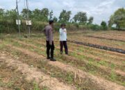 Dukung Asta Cita Presiden, Polsek Tambakboyo Aktif Dampingi Petani Manfaatkan Lahan Pekarangan