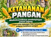 Mendukung Program Ketahanan Pangan, Bhabinkamtibmas Monitoring Pertumbuhan Jagung