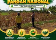 ANGGOTA POLSEK KEREK DAMPINGI PETANI PANTAU LAHAN JAGUNG SIAP PANEN, WUJUDKAN KETAHANAN PANGAN NASIONAL