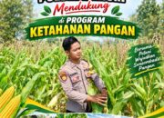 Anggota Bhabinkamtibmas Polsek Senori Polresta Tuban Lakukan Pemantauan Tanaman Jagung Warga Desa Wanglukulon Dukung Program Ketahanan Pangan