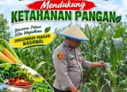 Dukung Ketahanan Pangan, Polsek Bangilan Monitoring Tanaman Jagung