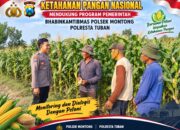 Mendukung Asta Cita Presiden bhabinkamtibmas Polsek Montong Polresta Tuban Pantau Kodisi Tanaman Jagung Milik Warga Desa pakel