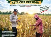 Polsek Plumpang Polresta Tuban Turun Langsung Cek Tanaman Jagung Warga