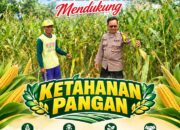 Polisi RW Polsek Senori Polresta Tuban Monitoring Tanaman Jagung Warga Desa Medalem