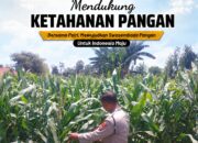 Dukung Ketahanan Pangan, Polsek Tuban Turun Langsung Pantau Tanaman Jagung