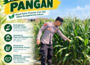 Dukung Ketahanan Pangan, Bhabinkamtibmas Monitoring Pertumbuhan Tanaman Jagung