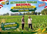 Mendukung Asta Cita Presiden bhabinkamtibmas Polsek Montong Polresta Tuban Pantau Kodisi Tanaman Jagung Milik Warga Desa pakel