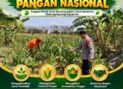 POLSEK KEREK DAMPINGI PETANI, WUJUDKAN KETAHANAN PANGAN NASIONAL