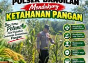 Dukung Ketahanan Pangan, Bhabinkamtibmas Monitoring Pertumbuhan Tanaman Jagung
