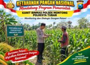 Mendukung Asta Cita Presiden Polmas Polsek Montong Polresta Tuban Pantau Kodisi Tanaman Jagung Milik Warga Desa Jetak