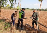 Polri Dukung Astacita, Polsek jenu Polres Tuban Turun Cek Tanaman Jagung Warga di Desa suwalan