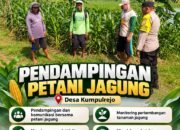 Polsek Parengan Polresta Tuban Pantau Lahan Jagung Warga Desa Kumpulrejo Dukung Program Astacita