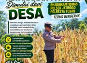 Dukung Astacita, Polsek Jatirogo Pantau Langsung Ladang Jagung Warga Desa Demit
