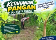 Polsek Tuban Dukung Ketahanan Pangan, Bhabinkamtibmas Monitoring Lahan Pertanian Warga
