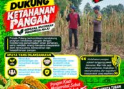 Dukung Astacita, Polsek Palang Polresta Tuban Pantau Langsung Lahan Jagung milik warga Desa Dawung