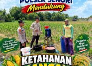 Unit Binmas Polsek Senori Polresta Tuban Membantu Proses Pemupukan Tanaman Jagung Warga Desa Jatisari