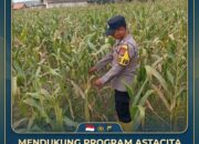Mendukung Program Astacita Presiden Prabowo, Polisi Polsek Kenduruan Polresta Tuban Turun Langsung Kawal Ketahanan Pangan Nasional .