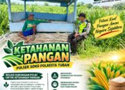 Polsek Soko Polresta Tuban Turun Langsung Cek Tanaman Jagung Warga