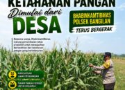 KETAHANAN PANGAN POLSEK BANGILAN