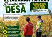 Polri Dukung Astacita, Polsek Rengel Polresta Tuban Turun Cek Tanaman Jagung Warga di Desa Rengel