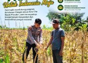Polri Dukung Astacita, Polsek Merakurak Polresta Tuban Turun Cek Tanaman Jagung Warga di Desa Tuwiri Wetan