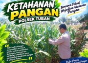 POLSEK TUBAN DUKUNG KETAHANAN PANGAN, LAKUKAN PEMANTAUAN TANAMAN JAGUNG