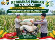 Mendukung Asta Cita Presiden bhabinkamtibmas Polsek Montong Polresta Tuban Pantau Kodisi Tanaman Jagung Milik Warga Desa pakel