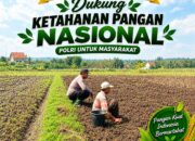 Anggota Polsek Singgahan Polresta Tuban Turun Cek Tanaman jagung Warga di Desa Mergosari