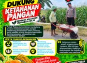 Dukung Astacita, Polsek Palang Polresta Tuban Pantau Langsung Lahan Jagung milik warga Desa Dawung