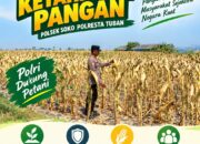 Polsek Soko Polresta Tuban Turun Langsung Cek Tanaman Jagung Warga