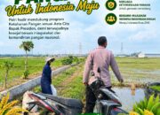 Polri Dukung Astacita, Polsek Merakurak Polresta Tuban Turun Cek Tanaman Jagung Warga di Desa Tuwiri Wetan