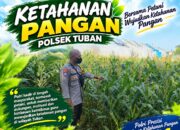 Polsek Tuban Dukung Ketahanan Pangan melalui Sambang dan Monitoring Tanaman Jagung