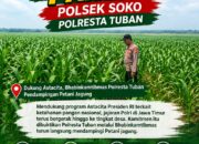 Polsek Soko Polresta Tuban Turun Langsung Cek Tanaman Jagung Warga