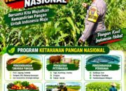 DUKUNG KETAHANAN PANGAN! Polsek Jatirogo Cek Lahan Jagung Warga Desa Demit