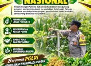 Polri Dukung Astacita, Polsek Rengel Polresta Tuban Turun Cek Tanaman Jagung Warga di Desa Pekuwon
