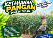 Polsek Tuban Dukung Ketahanan Pangan Nasional melalui Pemantauan Tanaman Jagung