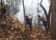 Babinsa dan Warga Mareje Berjibaku Padamkan Kebakaran Hutan