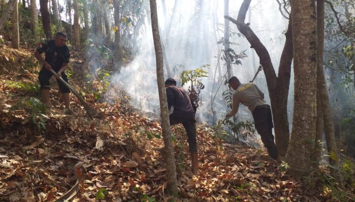 Babinsa dan Warga Mareje Berjibaku Padamkan Kebakaran Hutan