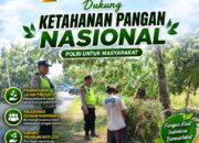 Polri Dukung Astacita, Polsek Rengel Polresta Tuban Turun Cek Tanaman Jagung Warga di Desa Rengel