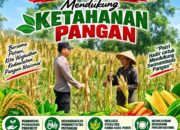 Bhabinkamtibmas Polsek Senori Polresta Tuban Pantau Tanaman Jagung Warga Desa Sendang Guna Dukung Ketahanan Pangan Nasional