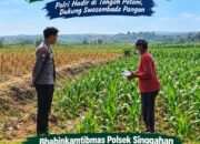 Anggota Polsek Singgahan Polresta Tuban Turun Cek Tanaman jagung Warga di Desa Mulyoagung