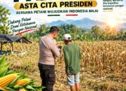 Polsek Plumpang Polresta Tuban Turun Langsung Cek Tanaman Jagung Warga