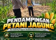 Polsek Parengan Polresta Tuban Pantau Lahan Jagung Warga Desa Ngawun Dukung Program Astacita